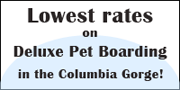 Lowest Rates On Dog Boarding