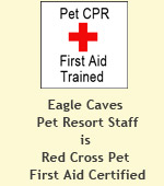 Pet firstaid